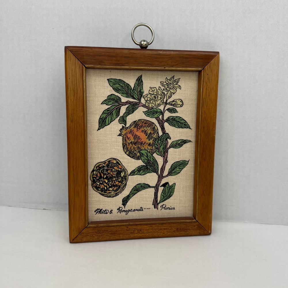 Vintage Ardco Pomegranate Botanical Wall Art Wood Frame Plate 6 Made in Japan